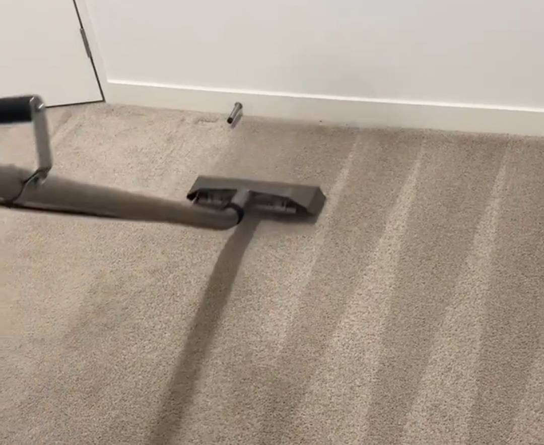 Carpet Cleaning