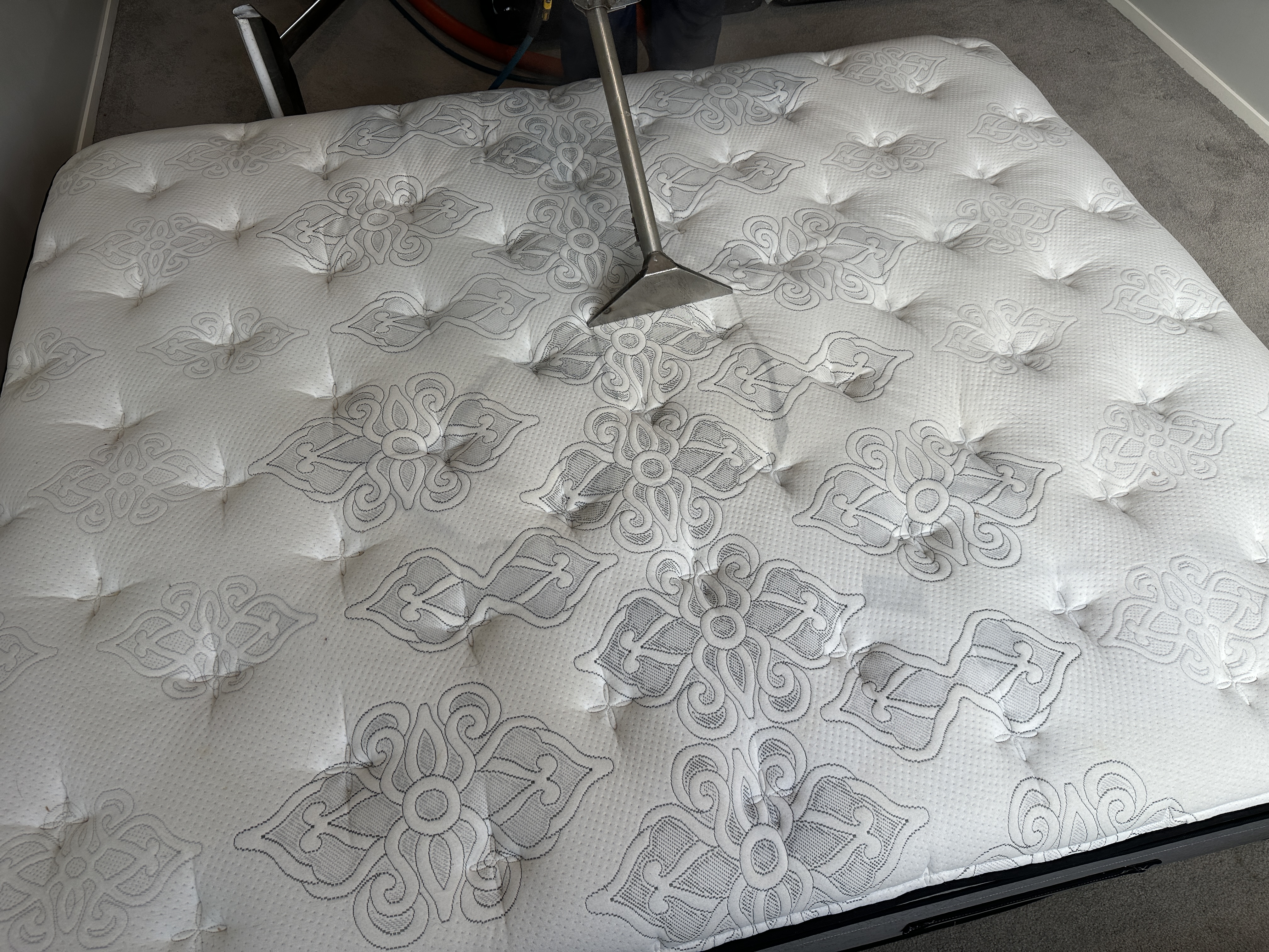 Upholstery Cleaning
